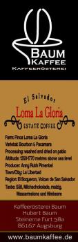 Baum Kaffee El Salvador `Loma la Gloria`