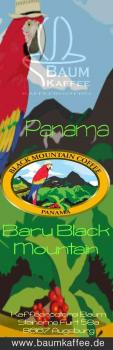 Baum Kaffee Panama Baru Black Mountain