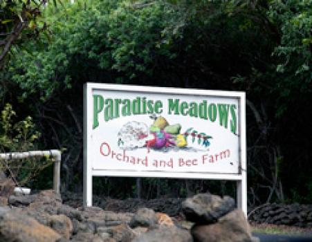 Die Rösterei Hawaii Kona Paradise Meadows coffee company Die Rösterei Hawaii Kona Paradise Meadows coffee company