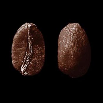 SAMOCCA Organic Fairkaffee CO2 entkoffeiniert Gr. 1 (Peru)