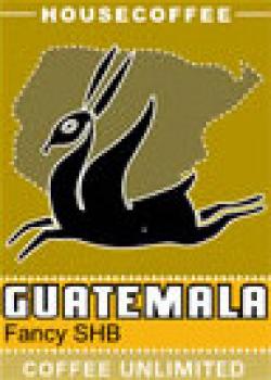 Spoons Systemgastronomie Guatemala - mittelkr&auml;ftig -